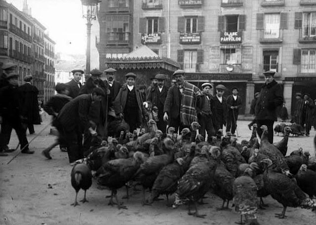 Auge del Regeneracionisme ( 25 de gener de 1907- 21 d'octubre de 1909 )