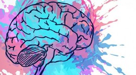 Timeline: Neurociencias de la conducta, un viaje que no se detiene.