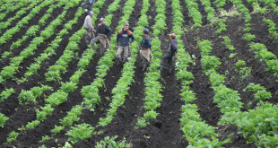 Solución Democrática