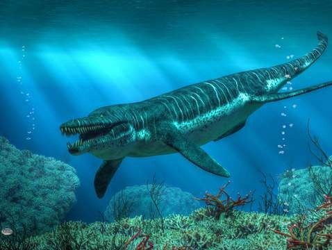 HACE 180 MILLONES DE AÑOS