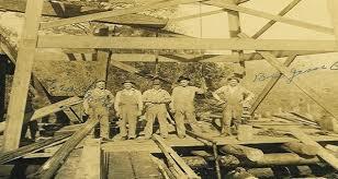 formación de compañía Petrolea del Táchira