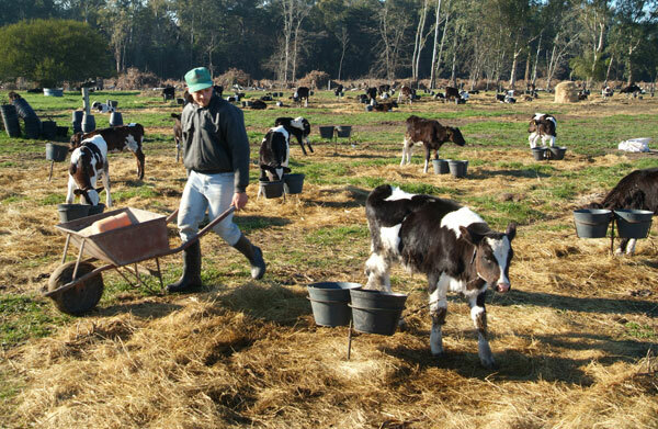 Conjunto de acontecimientos Político - Económicos