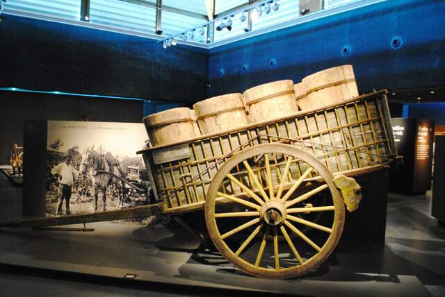 Siglo XIV - Introducción del vino a España