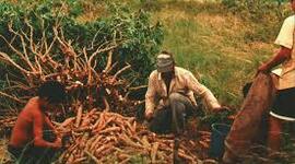 Timeline: Espacio agrario en Venezuela