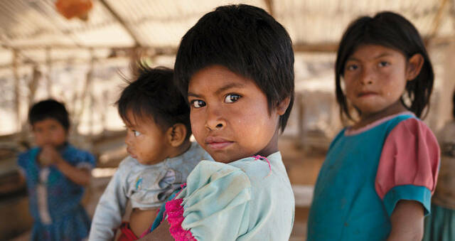 Creación y  funcionamiento de  Jardines Infantiles Nacionales Populares en las principales ciudades del país