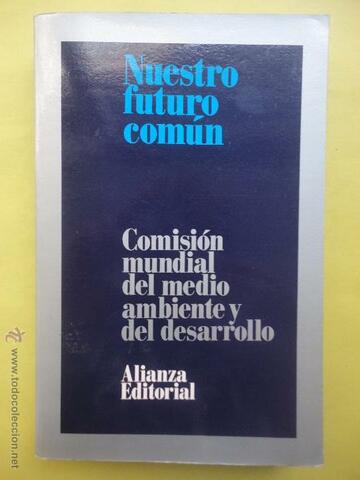 Nuestro Futuro Común