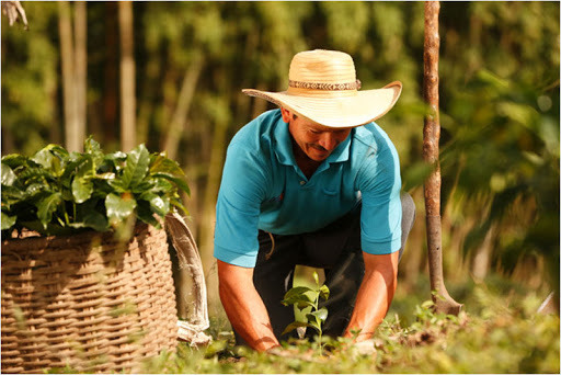 Burguesía industrial y comercial