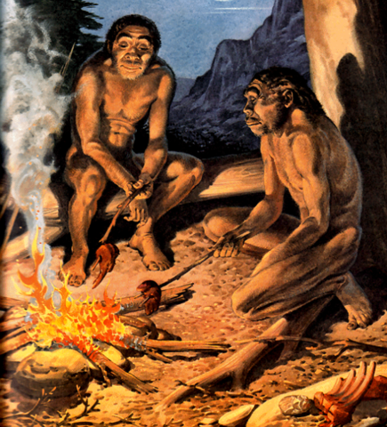 HOMO ERECTUS Y EL FUEGO