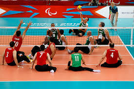 Voleibol sentado