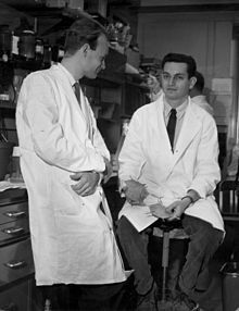 Marshall Nirenberg y Matthaei