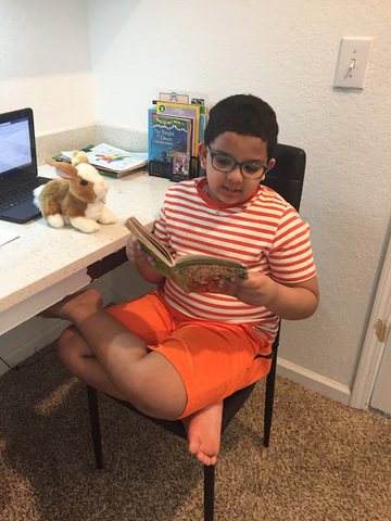 Reading stories to stuff animals