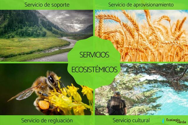 Servicios de ecosistemas