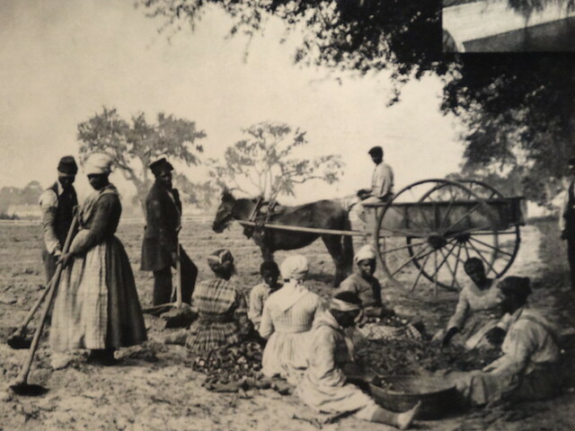 Slavery is Outlawed in the French Colonies, Including St. Domingue