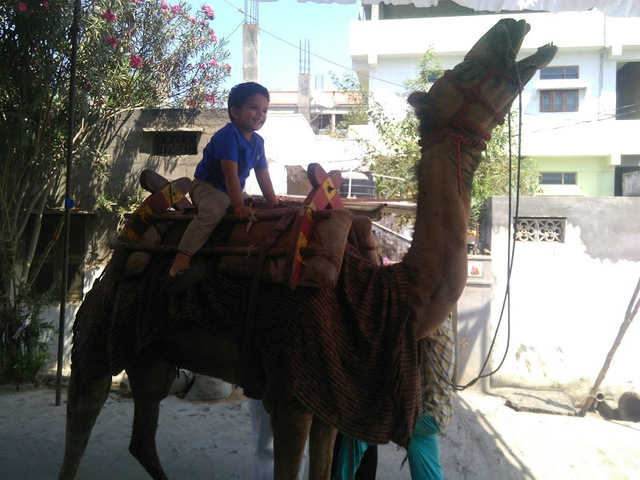 My first camel ride