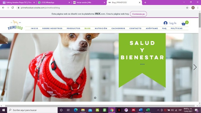 Proyecto e-commerce