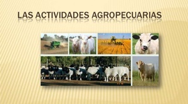 Timeline: Actividades Agropecuarias en Venezuela