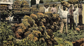 Timeline: Hegemonía conservadora