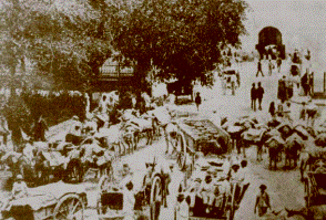 Definición de características en la agricultura