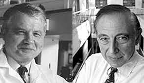 Clements y Bullivant