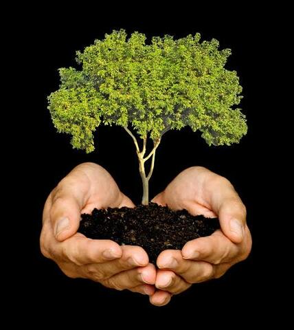 Primera Reunión de la C.M.M.A.D