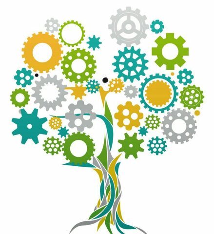 Psicología neurocientífica: neurociencia cognitiva y neurociencia social.