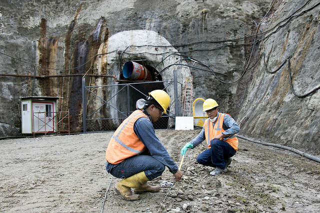 Estudio de Schettino