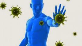Timeline: evolucion historica de la epidemiologia