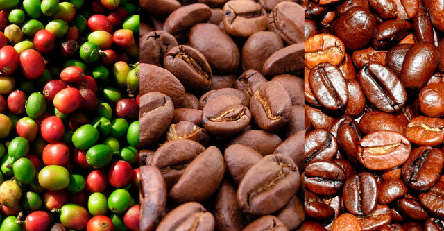 Producción de café