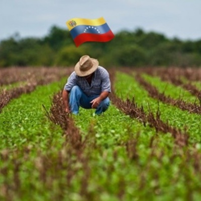 Timeline: Venezuela Agropecuaria