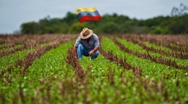 Timeline: Venezuela Agropecuaria