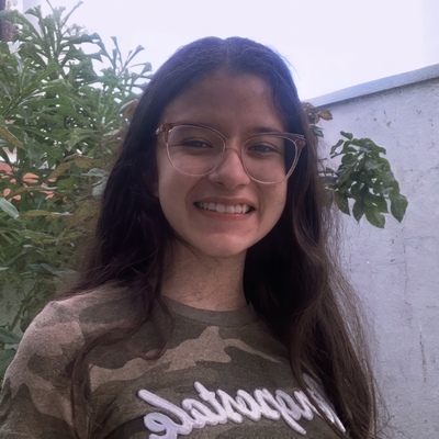 Timeline: As Descobertas