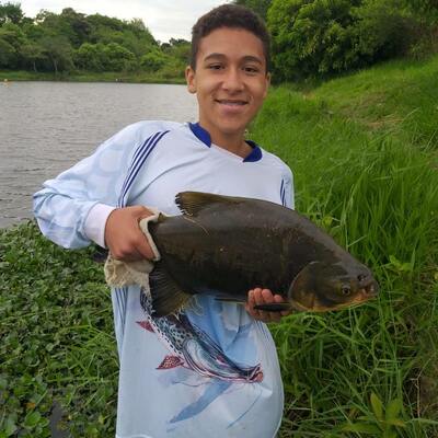 Timeline: As Descobertas