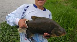 Timeline: As Descobertas