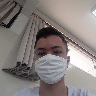 Timeline: As descobertas