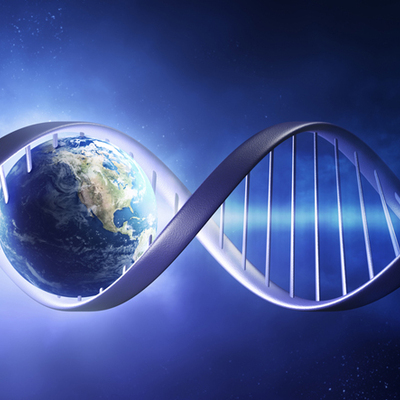 Timeline: Livets evolusjonshistorie