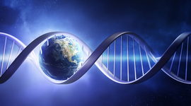 Timeline: Livets evolusjonshistorie