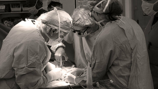 Transplante de órganos