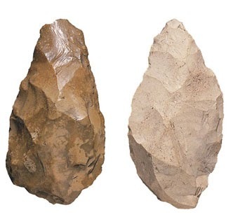 Primeres eines i armes