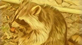 Timeline: Acontecimientos importantes de la medicina veterinaria