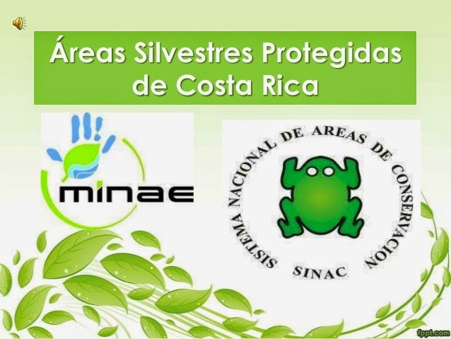 Se inicia una Política de protección del Patrimonio Nacional de Costa Rica y se crean numerosas Áreas Silvestres.