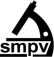 Fundación de SMVP