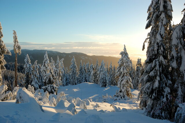 Premier hiver au Canada pour les français