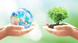 Timeline: Historia de la Ecología