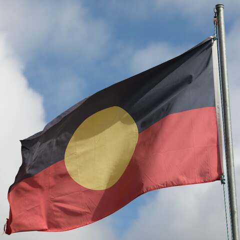 Federal government helps the Aborigines