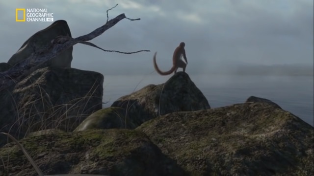 HACE 47 MILLONES DE AÑOS