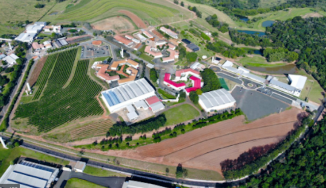 Fundação- entrevista