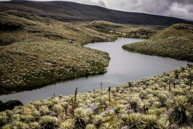 HACE 300 MILLONES DE AÑO