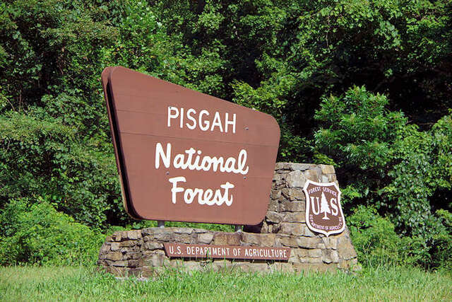 Pisgah National Forest