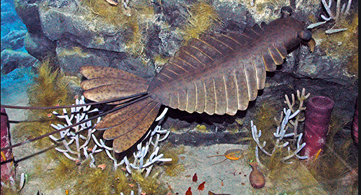 Kambrium eksplosjonen