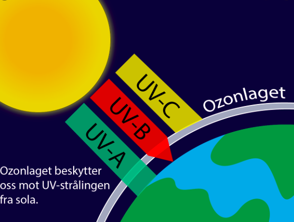 Dannelse av ozonlaget